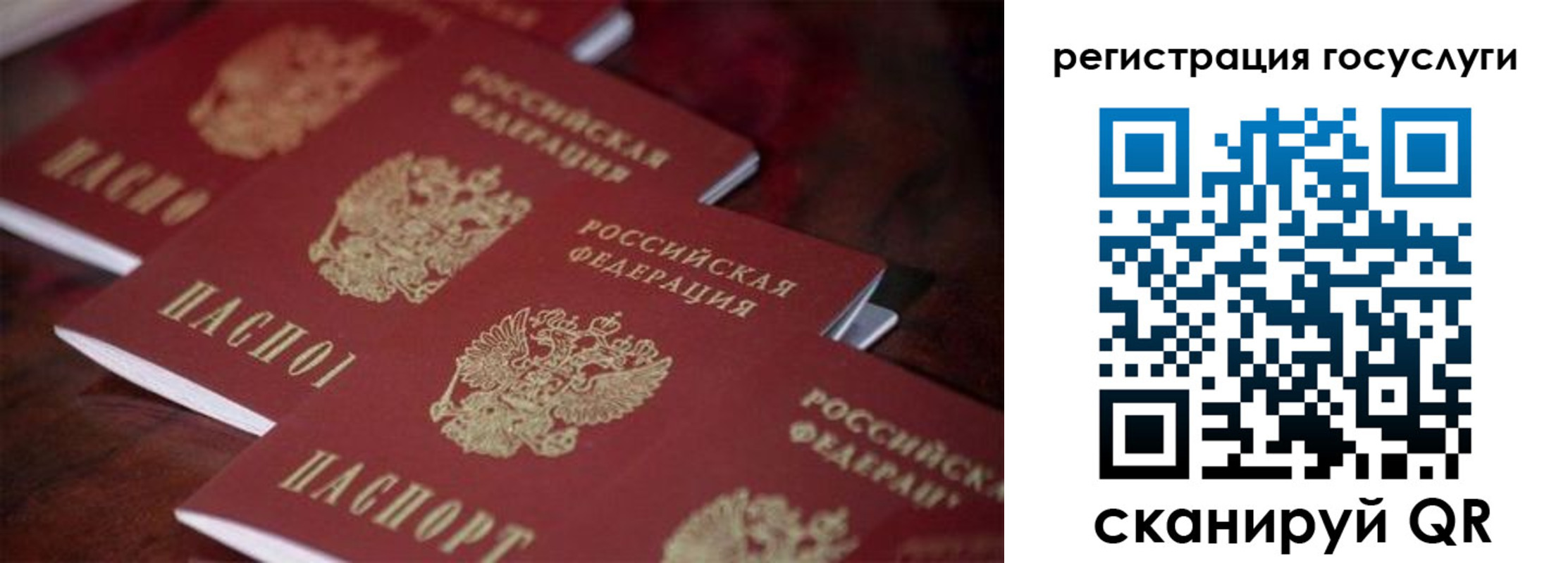 где прописаться в Коле