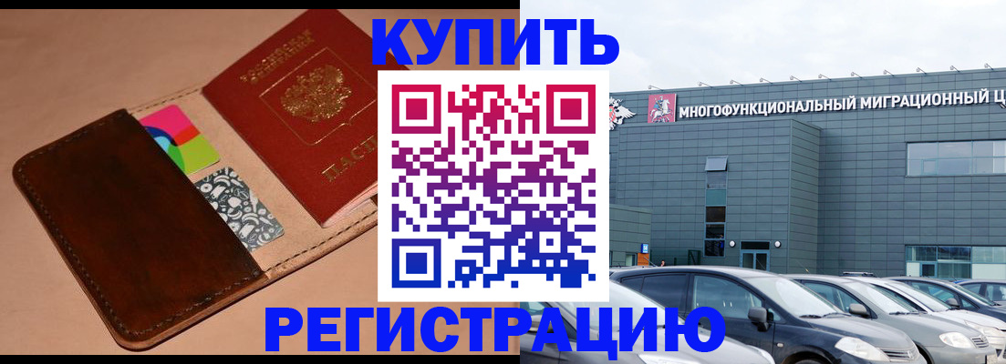 прописка поиск в Коле